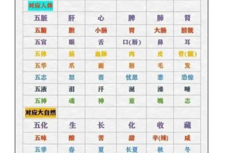 中五行属什么？揭秘五行背后的深层意义