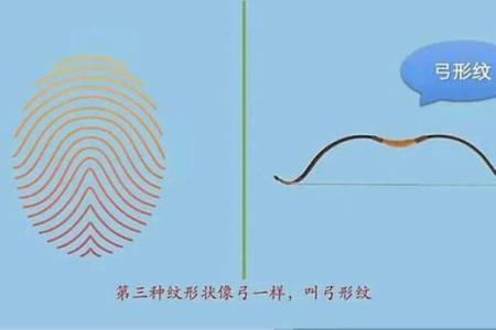 手相揭秘：涡纹与流纹的奥秘，解锁命运之谜