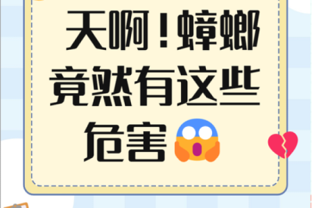 又字命名的深刻寓意，揭开神秘面纱