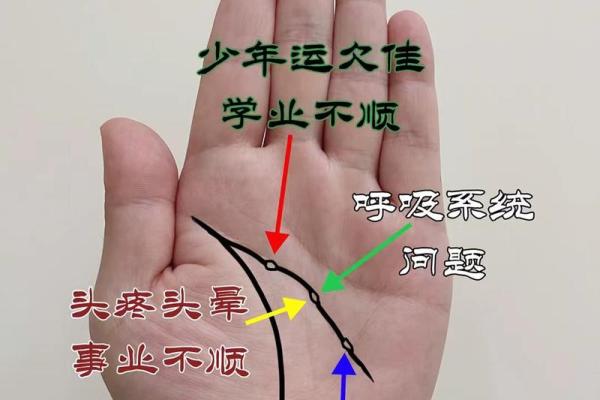 揭秘：异性贵人相助，手相中这些特征预示着好运连连