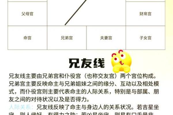 面相揭秘：一眼识人，解锁命运密码