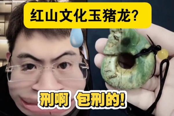 猪龙配对大揭秘：相性揭秘