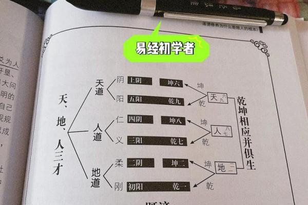六爻电脑排盘系统揭秘：最全的易学工具使用教程