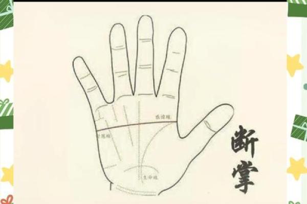 掌中秘密：手相解析，揭示你的命运与性格