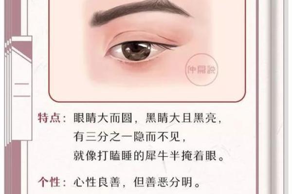 面相揭秘：女人的命运密码，一眼看穿