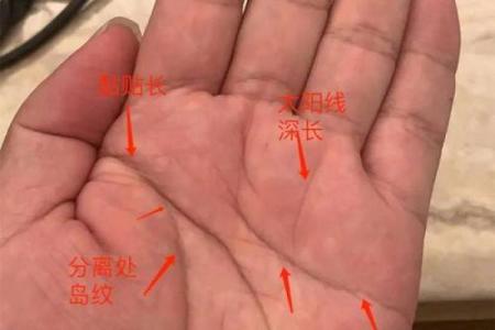 揭秘：看左手还是右手，手相预测你的运势与命运