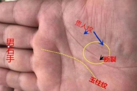 掌中富贵，厚掌肉多，揭秘手相中的财富密码