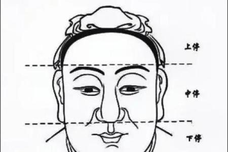 面相揭秘：一眼识人，解锁命运密码
