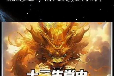 生肖命局揭秘：揭秘十二生肖命运之谜
