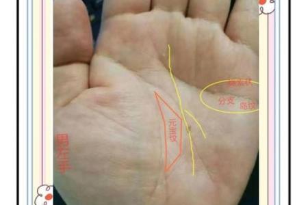 手相揭秘：你的命运、性格和健康都在这双掌中
