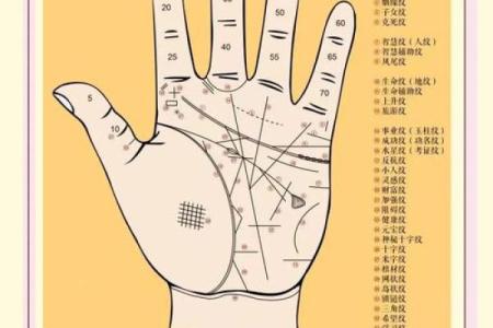 揭秘：手相解读，只看右手就能看透命运？