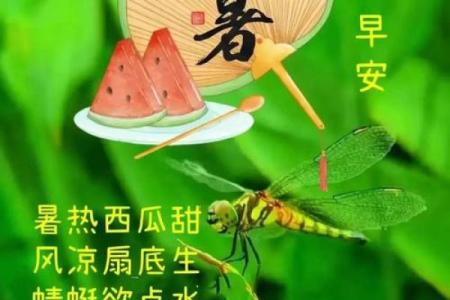 大暑生肖揭秘：谁是今年的旺运之星？
