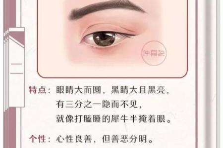 面相揭秘：女人的命运密码，一眼看穿
