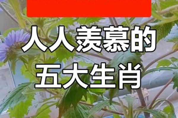 生肖运势大揭秘：揭秘你的生肖财运，让你财运亨通