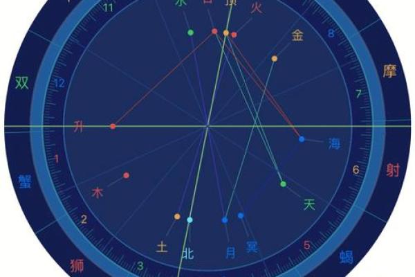 紫薇盘排入门指南：如何通过星盘预测未来趋势