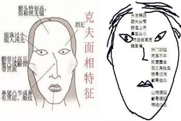 揭秘面相流年43：运势起伏，命运转折一览无余