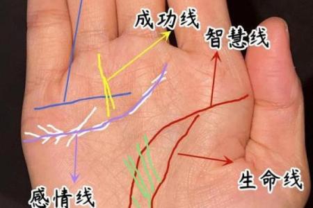 揭秘女人手相：雷霆之力，掌握运势的神秘密码