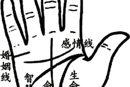 手相揭秘：全面解析大全男命运密码