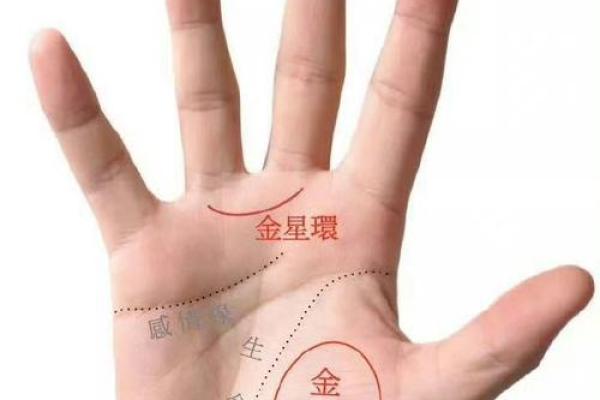 手相桃花旺，揭秘你的爱情运势