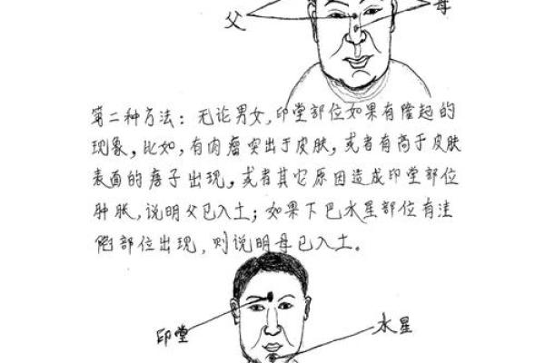 揭秘安徽相法：手相奥秘，掌握命运脉搏