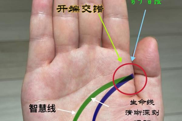 手相揭秘：一招看透你的生育命运，生儿育女全知晓