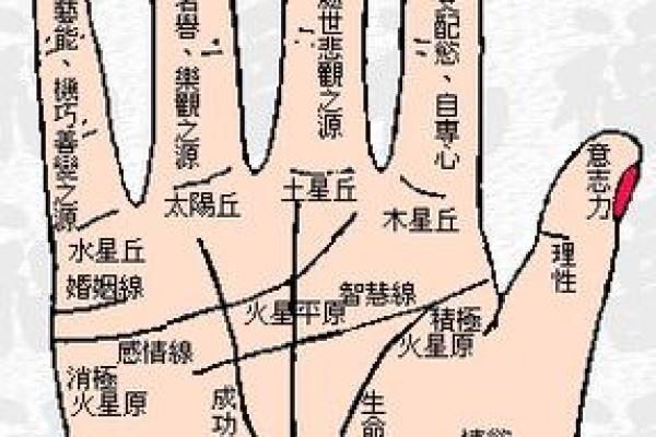 手相揭秘：一招看透你的生育命运，生儿育女全知晓