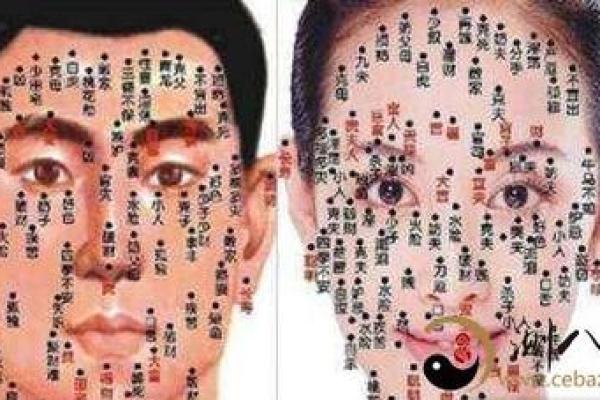 面相秘籍：全面解析痣相奥秘，揭秘命运走向
