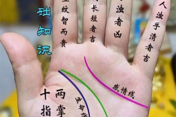 手相揭秘：看你的命盘，揭秘几岁能喜结良缘的秘密
