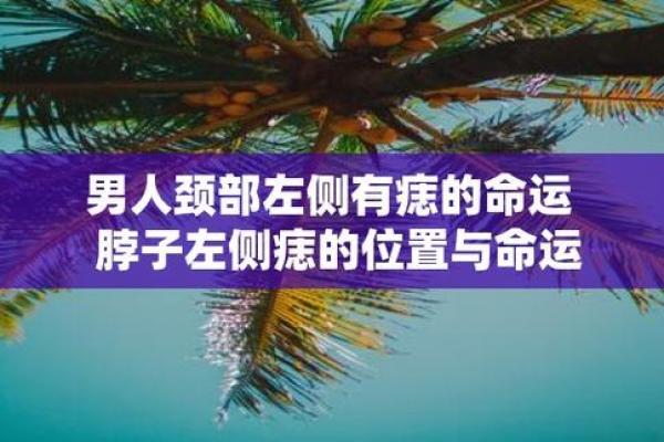 揭秘男性魅力之源：脖子面相图解，读懂他的性格命运