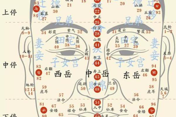 一秒识人揭秘面相学的神奇准确性