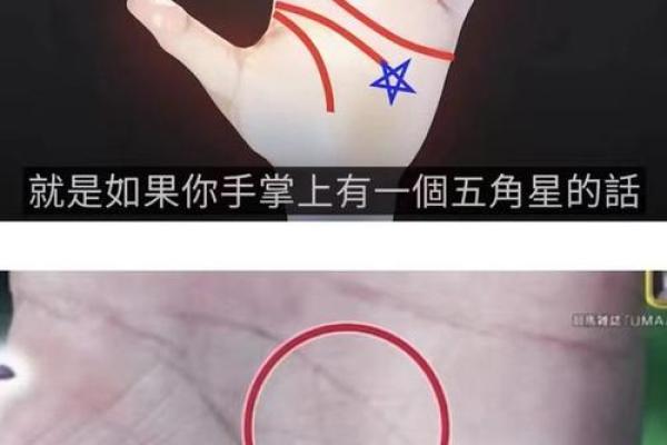揭秘手相上的神秘线条，掌握命运的秘密武器