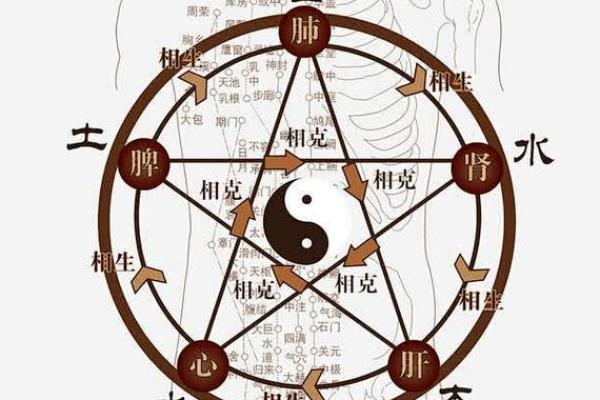 从天干人体图看健康：你的五行体质属于哪一类