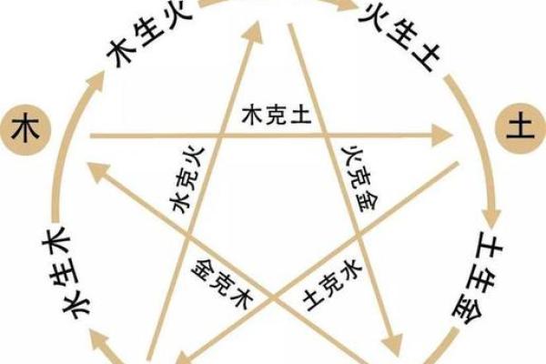 从天干人体图看健康：你的五行体质属于哪一类