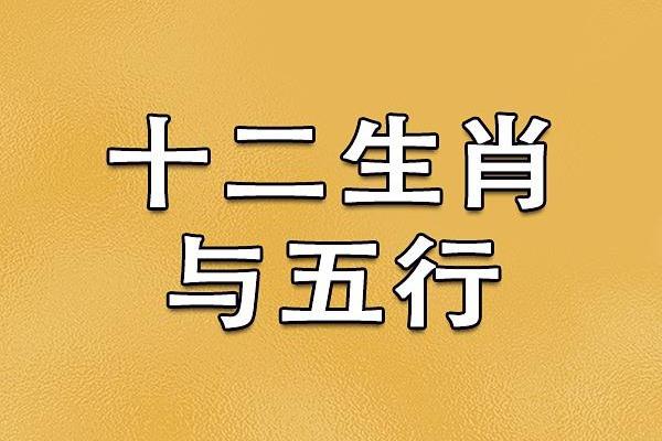 属相揭秘：住房风水与生肖完美匹配指南