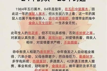 鼠年运势揭秘：你的命运有何不同？