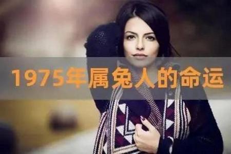 1978年出生的属兔人，揭秘你的命运格局