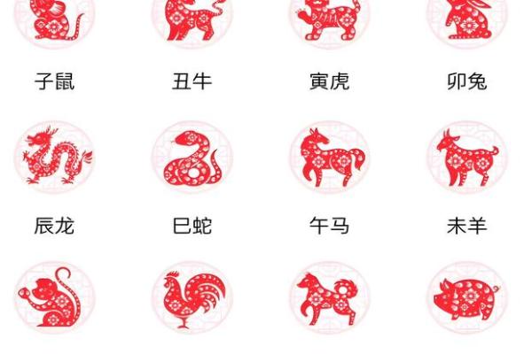 九宫秘术揭秘：生肖运势大揭秘，你的生肖命运如何？