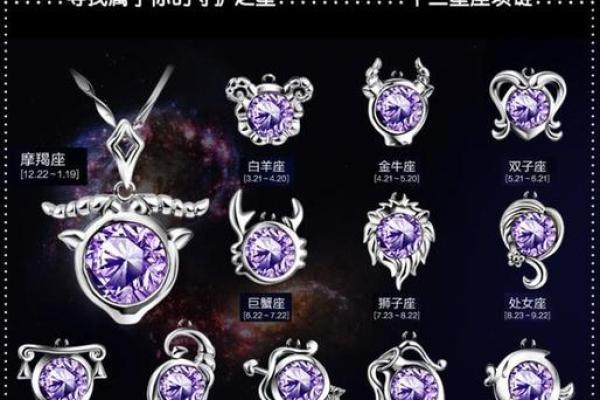 十二星座保镖：守护你的星座专属守护神