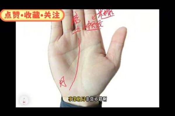 手相揭秘：一图看穿你将有几个子女，爆款手相学大揭秘