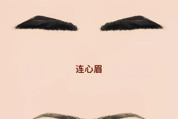宽眉面相揭秘：财运亨通还是命运多舛？