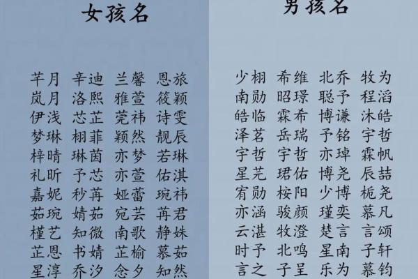 淞字起名的独特魅力，打造专属于你的名字