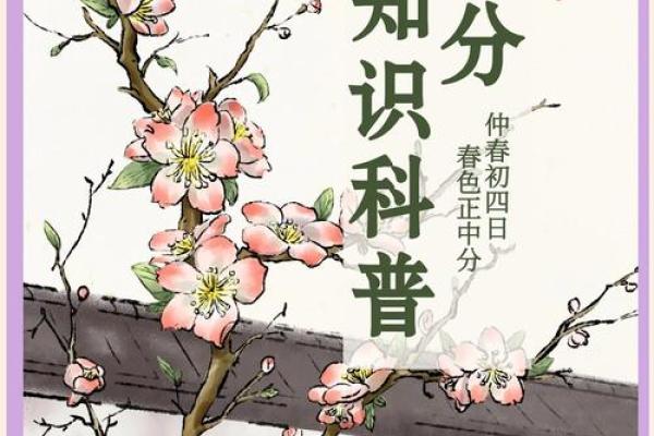 春分民俗探秘：千年的节气记忆，谁的主场？