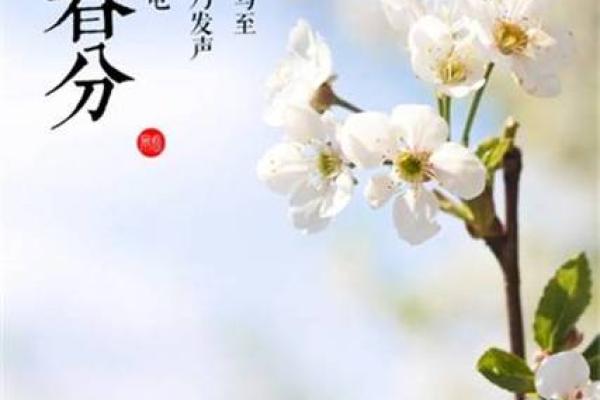 春分民俗探秘：千年的节气记忆，谁的主场？