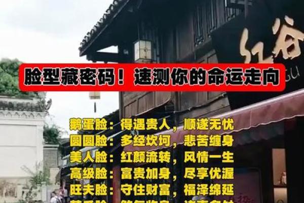 揭秘面相流年：精准预测运势，解锁命运密码