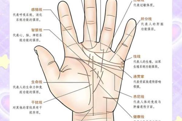 手心十字纹揭秘：财运亨通，运势逆袭的秘密