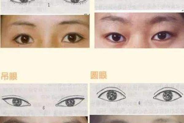 揭秘面相秘密：巴拉长面相，让你一眼看穿人心