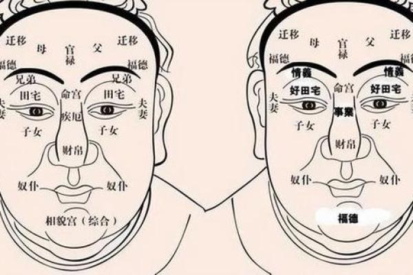 情侣面相：揭秘甜蜜秘诀，一眼看出你的缘分深浅