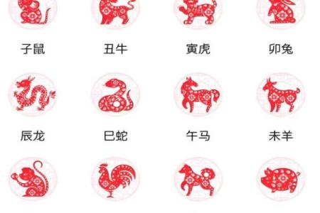 九宫秘术揭秘：生肖运势大揭秘，你的生肖命运如何？
