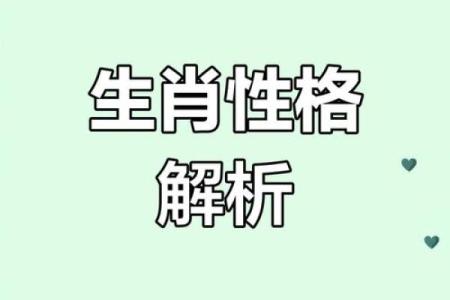 生肖风华：解锁十二生肖的潇洒魅力