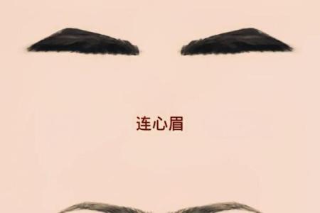宽眉面相揭秘：财运亨通还是命运多舛？
